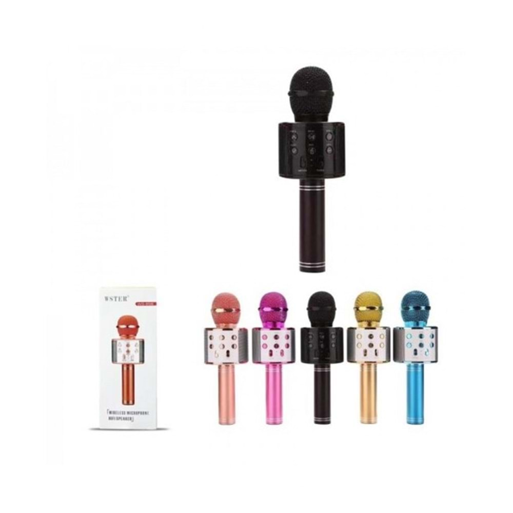 PLATOON PL-2463 BT/TF/USB KABLOSUZ KARAOKE MİKROFON