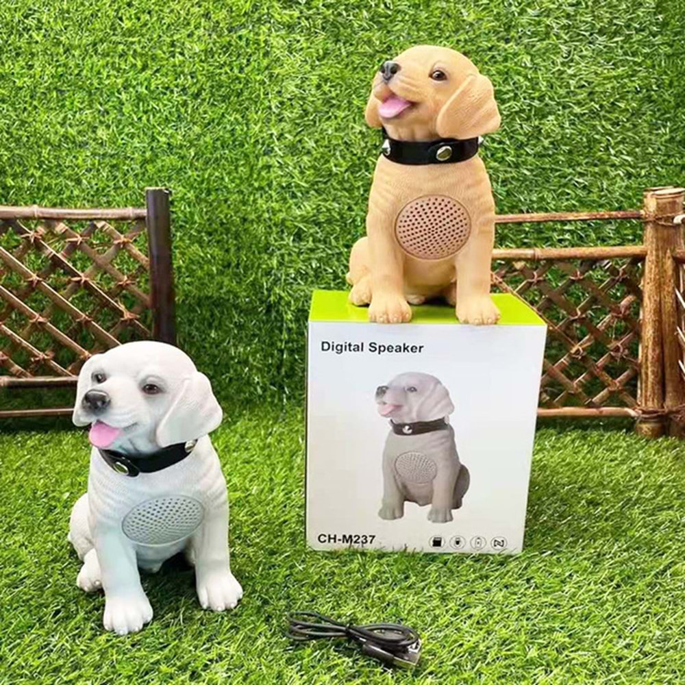 TELSAN CH-M237 USB/SD/FM/BLUETOOTH KÖPEK MÜZİK KUTUSU
