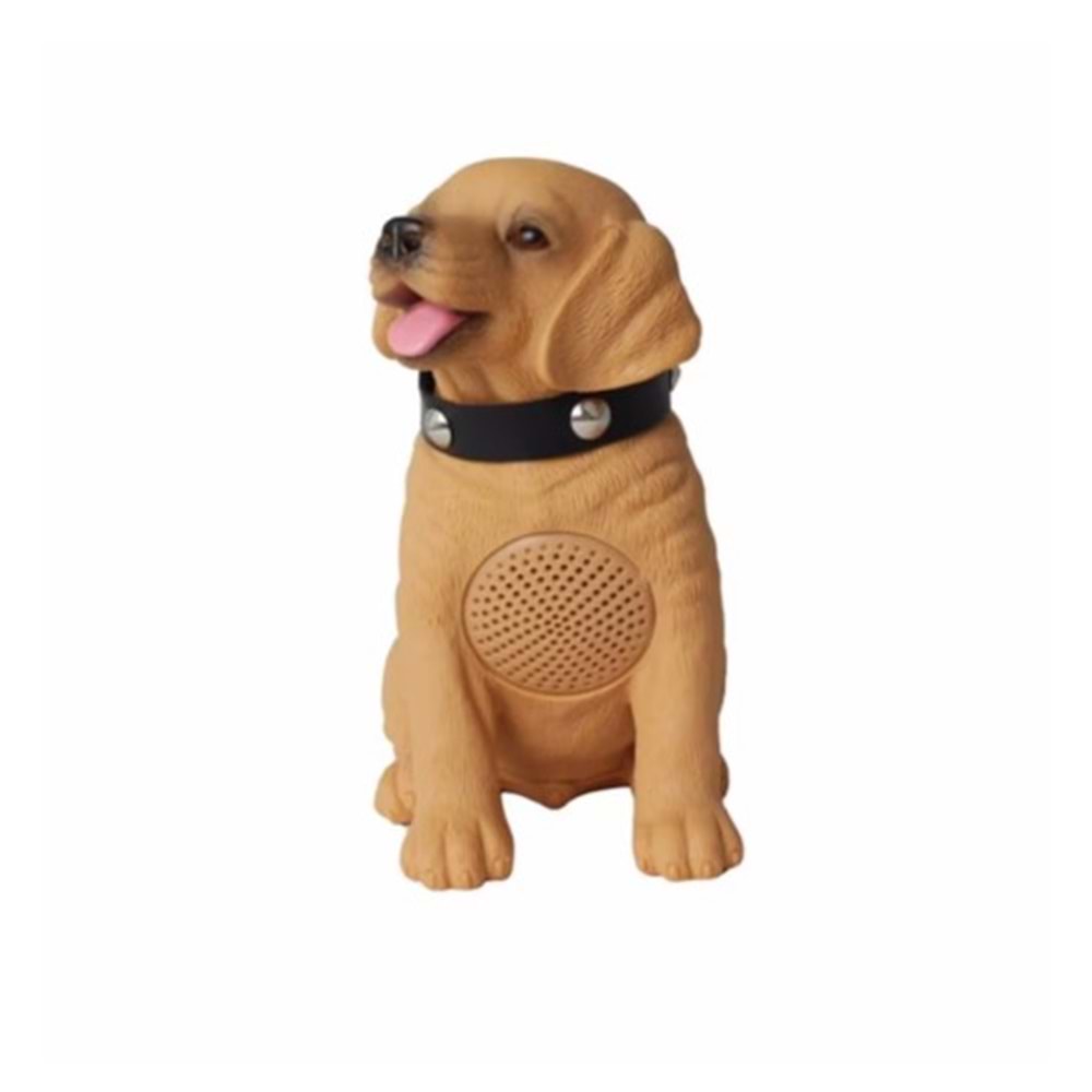 TELSAN CH-M237 USB/SD/FM/BLUETOOTH KÖPEK MÜZİK KUTUSU