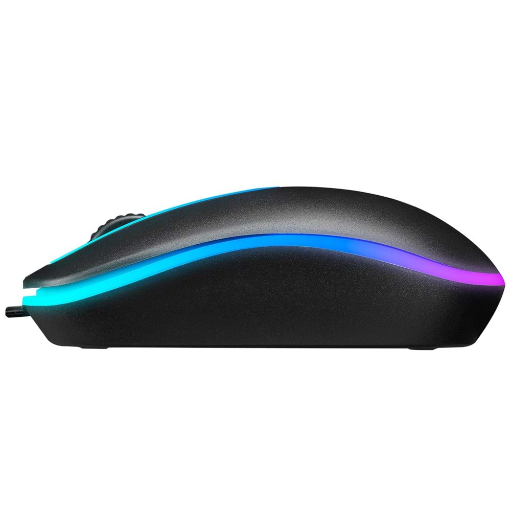 Everest SM-166 Usb Siyah Işıklı Optik Mouse