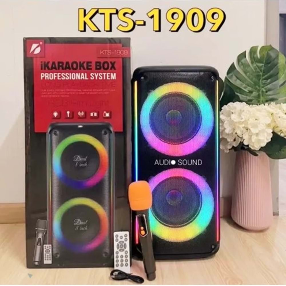 TELSAN KTS-1909 SD/USB/FM 16inc KUMANDALI MİKROFONLU BLUETOOTH RGB IŞIKLI MÜZİK KUTUSU