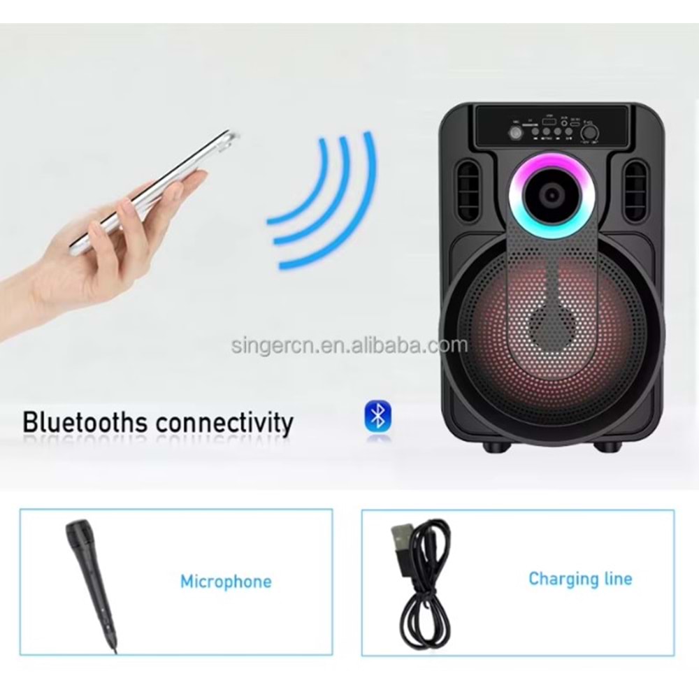 TELSAN ABS-8101 SD/USB/FM 8inc KARAOKE MİKROFONLU BLUETOOTH RGB IŞIKLI MÜZİK KUTUSU PL-4435