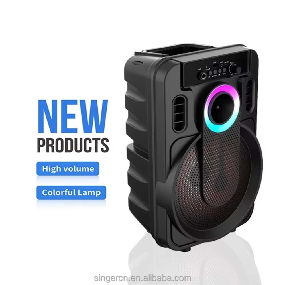 TELSAN ABS-8101 SD/USB/FM 8inc KARAOKE MİKROFONLU BLUETOOTH RGB IŞIKLI MÜZİK KUTUSU PL-4435