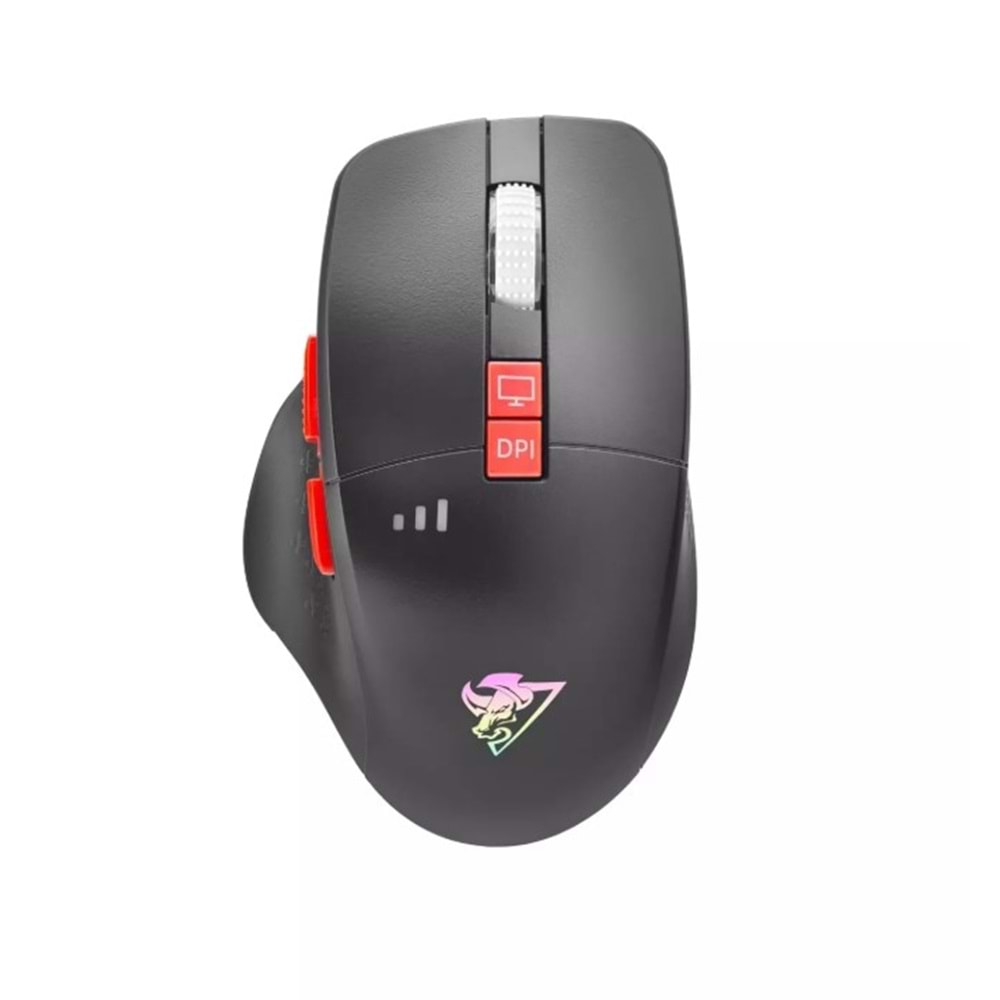 Hadron G390 Kablosuz Oyuncu Mouse Type-C Port Şarjlı Göstergeli Rgb 1600Dpi Sessiz