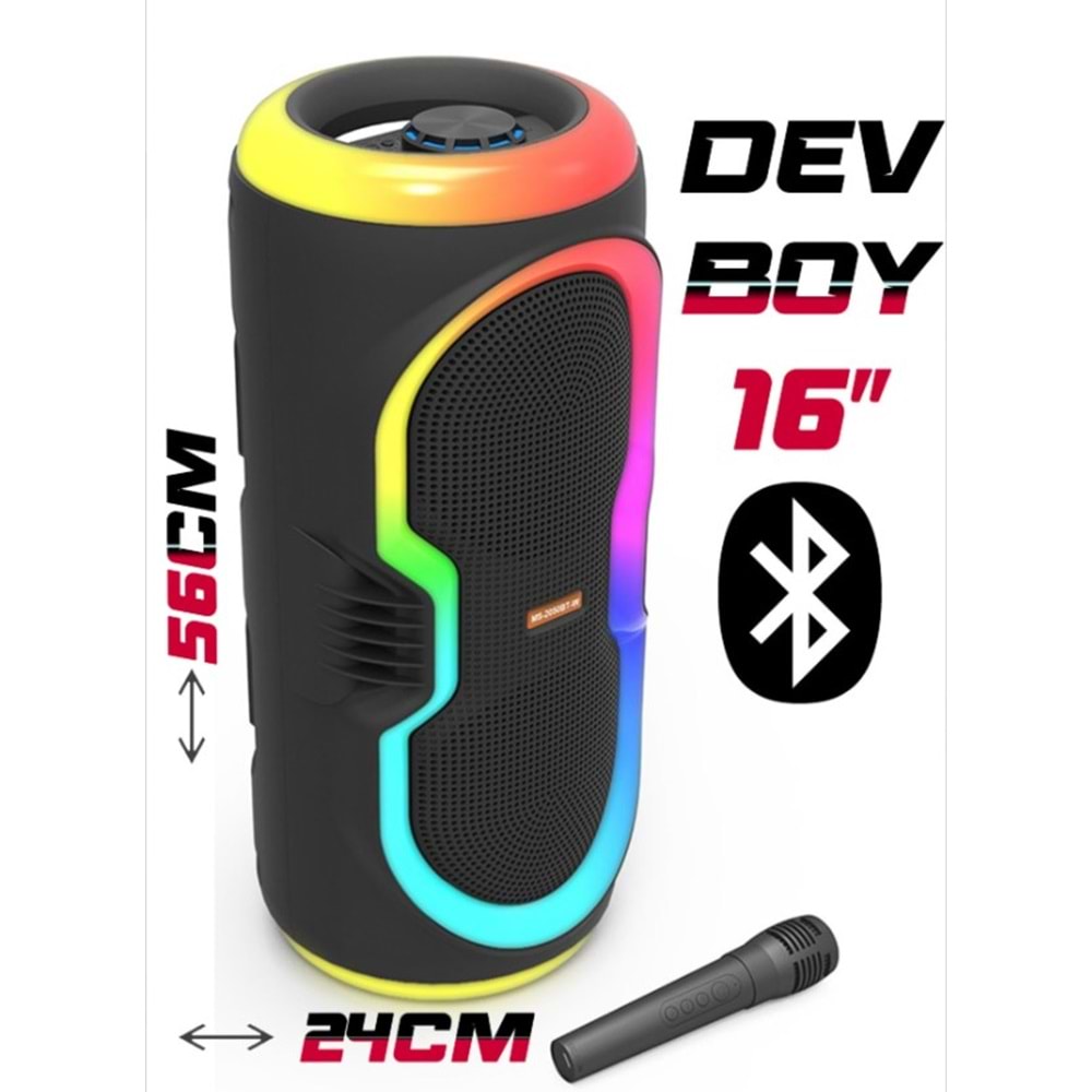 PLATOON PL-4145 BT/SD/USB GİRİŞLİ RGB IŞIKLI KABLOSUZ MİKROFONLU 8*2 16