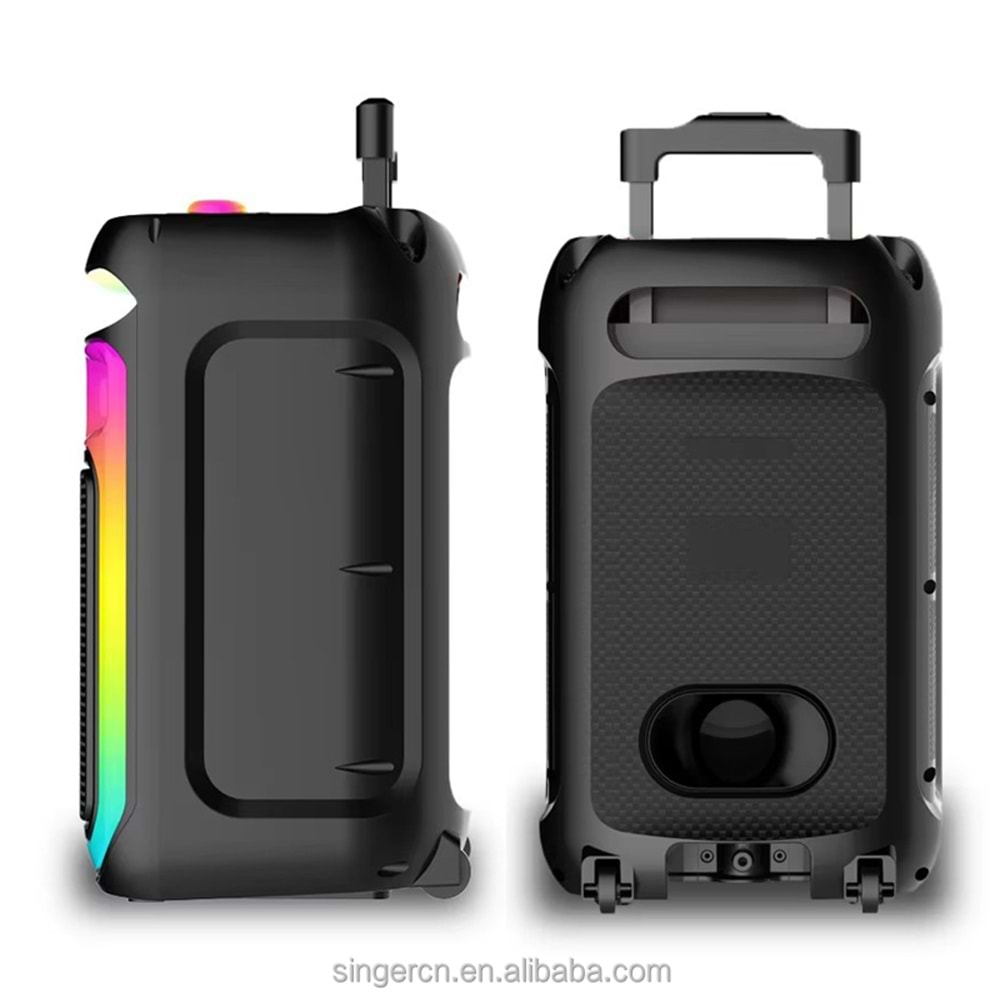 PLATOON PL-4659 SD/USB/FM 12inc KUMANDALI MİKROFONLU BLUETOOTH RGB IŞIKLI MÜZİK KUTUSU ABS-12101