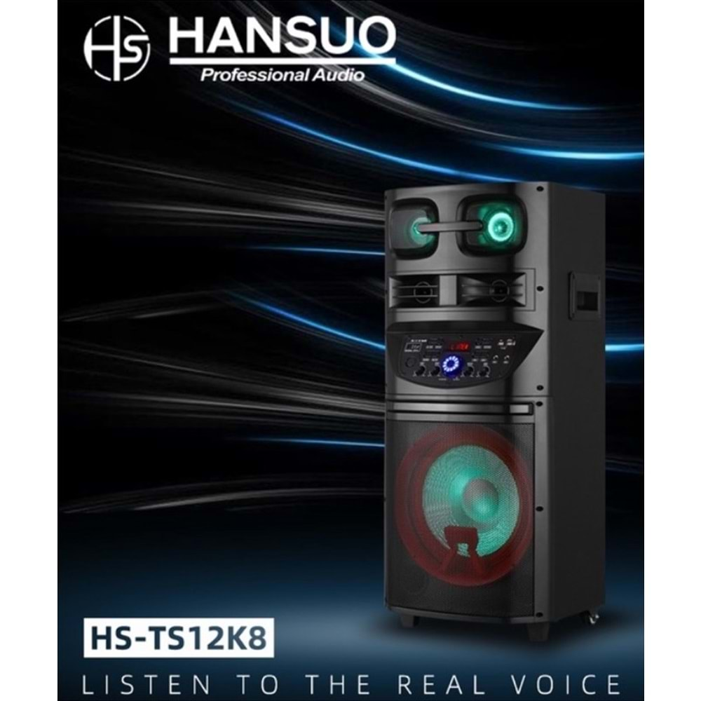 TELSAN HS-TS12K8 SD/USB/FM 12inc BLUETOOTH ÇİFT KABLOSUZ KARAOKE MİKROFONLU KUMANDALI RGB MÜZİK KUTUSU