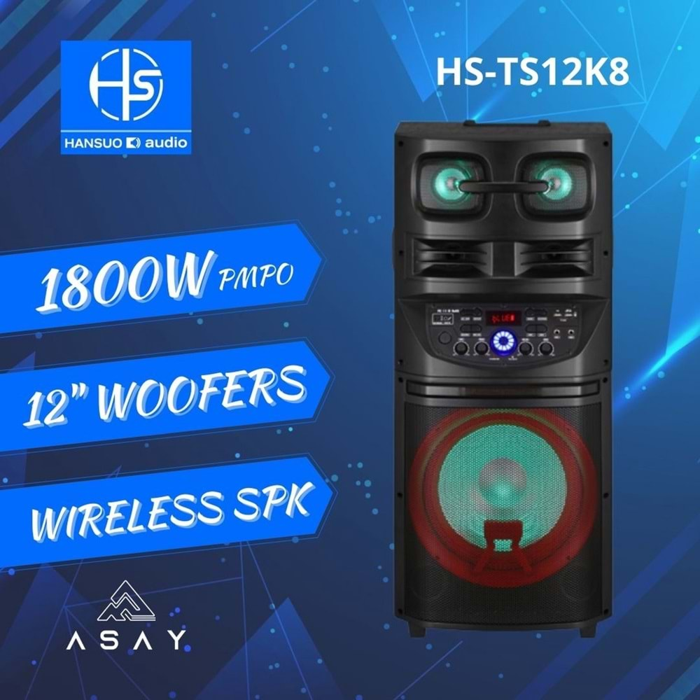 TELSAN HS-TS12K8 SD/USB/FM 12inc BLUETOOTH ÇİFT KABLOSUZ KARAOKE MİKROFONLU KUMANDALI RGB MÜZİK KUTUSU