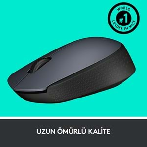 LOGİTECH M170 USB OPTİK WİRELESS KABLOSUZ MOUSE 910-004642