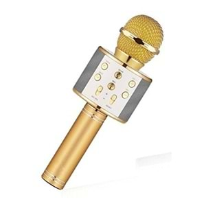 PLATOON PL-2463 BT/TF/USB KABLOSUZ KARAOKE MİKROFON