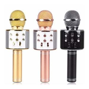 PLATOON PL-2463 BT/TF/USB KABLOSUZ KARAOKE MİKROFON