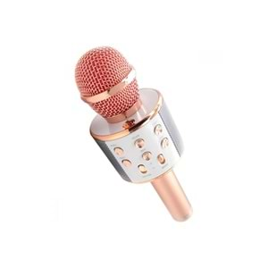 PLATOON PL-2463 BT/TF/USB KABLOSUZ KARAOKE MİKROFON