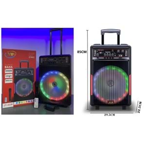 TELSAN JT-1238 SD/USB/FM 12inc BLUETOOTH KARAOKE MİKROFONLU KABLOSUZ KUMANDALI RGB MÜZİK KUTUSU