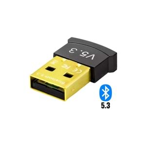 MPİA MP-11 MİNİ USB BLUETOOTH DONGLE 5.3 B11