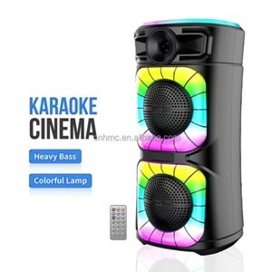 PLATOON PL-4602 SD/USB/FM 8inc 2000W KARAOKE MİKROFONLU BLUETOOTH RGB IŞIKLI MÜZİK KUTUSU ABS-2412