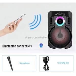 TELSAN ABS-8101 SD/USB/FM 8inc KARAOKE MİKROFONLU BLUETOOTH RGB IŞIKLI MÜZİK KUTUSU PL-4435