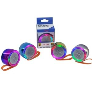 PLATOON PL-4337 BLUETOOTH BAĞLANTILI RGB IŞIKLI HOPÖRLÖR MİKROFONLU MİNİ SPEAKER