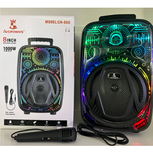 TELSAN CH-880 SD/USB/FM 8inc KARAOKE MİKROFONLU BLUETOOTH RGB IŞIKLI MÜZİK KUTUSU