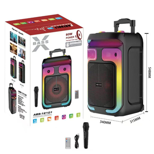 PLATOON PL-4659 SD/USB/FM 12inc KUMANDALI MİKROFONLU BLUETOOTH RGB IŞIKLI MÜZİK KUTUSU ABS-12101