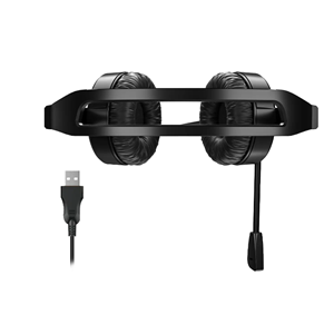 LECOO HT106 USB Kablolu Mikrofonlu Kulak Üstü Kulaklık Siyah
