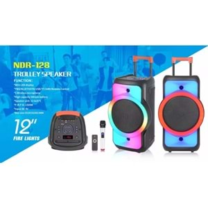 TELSAN NDR-128 SD/USB/FM 12inc BLUETOOTH KARAOKE MİKROFONLU KABLOSUZ KUMANDALI RGB MÜZİK KUTUSU