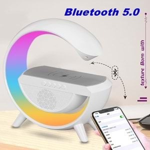 TELSAN BT-2301 USB/FM/TF/AUX 15W Wireless Kablosuz Şarj Destekli Bluetooth Hoparlör