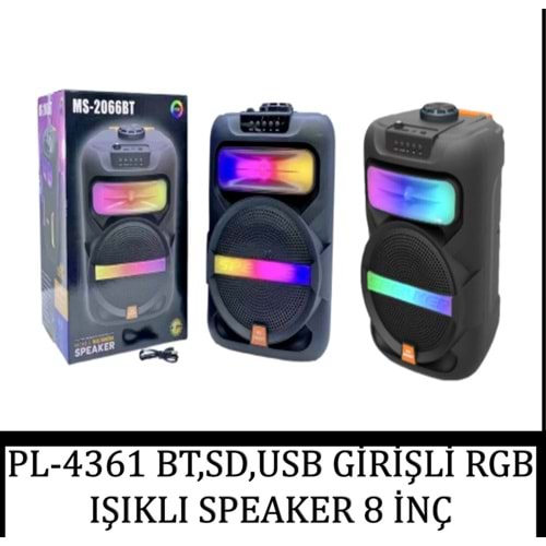 PLATOON PL-4361 SD/USB/AUX/FM BLUETOOTH 8