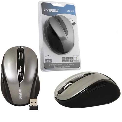 Everest SM-613 Siyah 2.4Ghz Optik Wireless Kablosuz Mouse