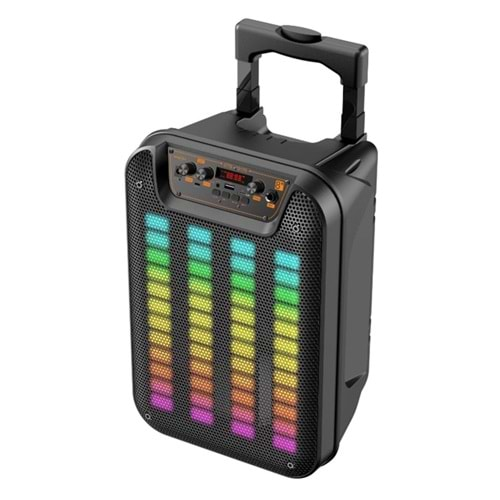 TELSAN GTS-1917 SD/USB/FM 8inc MİKROFONLU RENKLİ BLUETOOTH RGB IŞIKLI MÜZİK KUTUSU