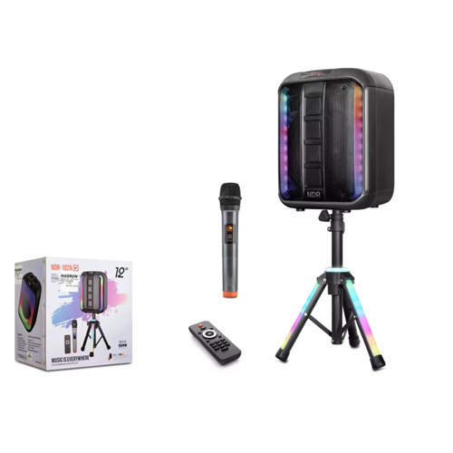 TELSAN NDR-102A Bluetooth Karaoke Hoparlör FM 12