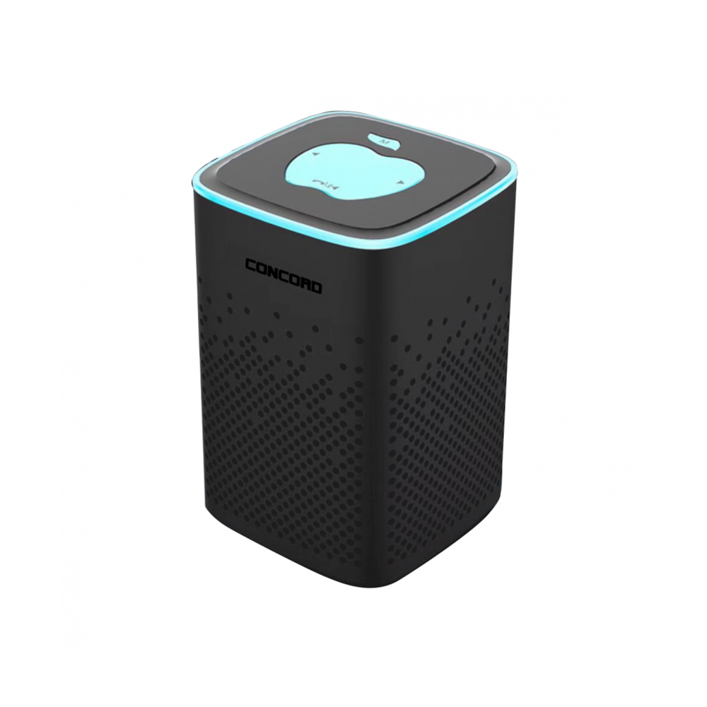 Concord C-8208 USB/TF/FM Güçlü Baslı Bluetooth Hoparlör Mikrofonlu S818