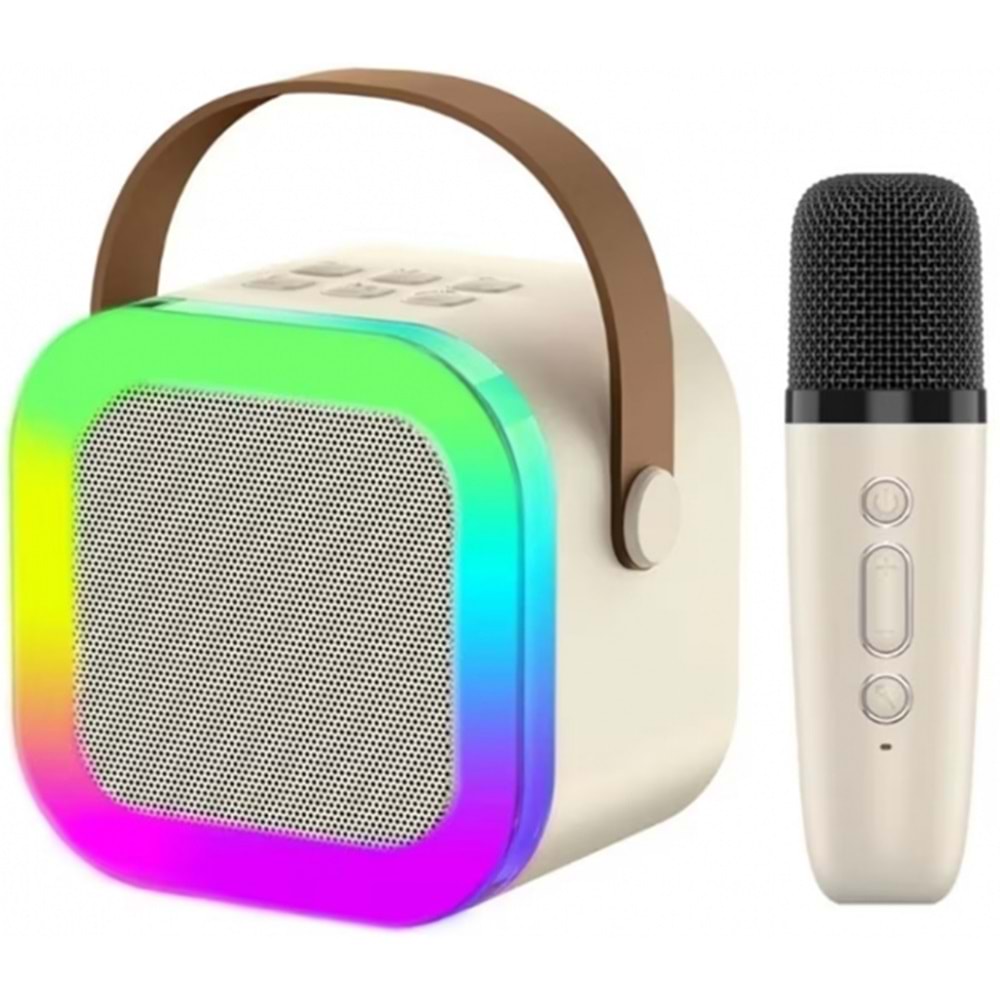 PLATOON PL-4562 KABLOSUZ MİKROFONLU SD USB BLUETOOTH SPEAKER