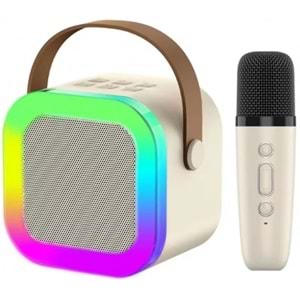 PLATOON PL-4562 KABLOSUZ MİKROFONLU SD USB BLUETOOTH SPEAKER