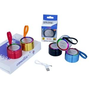 PLATOON PL-4337 BLUETOOTH BAĞLANTILI RGB IŞIKLI HOPÖRLÖR MİKROFONLU MİNİ SPEAKER