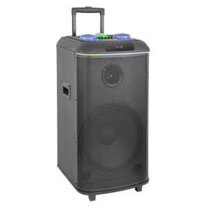 TELSAN DM-T1505 SD/USB/FM DOUBLE 15inc BLUETOOTH KARAOKE MİKROFONLU KABLOSUZ KUMANDALI RGB MÜZİK KUTUSU