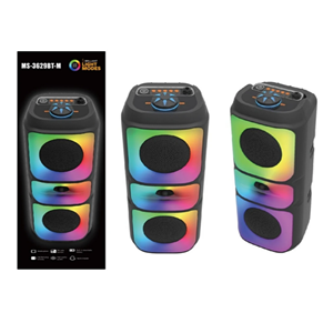 Platoon PL-4623 BT/SD/USB/AUX 4X2 8İNÇ Işıklı Bluetooth Speaker (MS-3629BT)