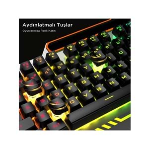 LECOO KB123 USB Kablolu Makro Tuşlu Rainbow Efektli Mekanik Hisli Membran Gaming Türkçe Q Siyah Klavye