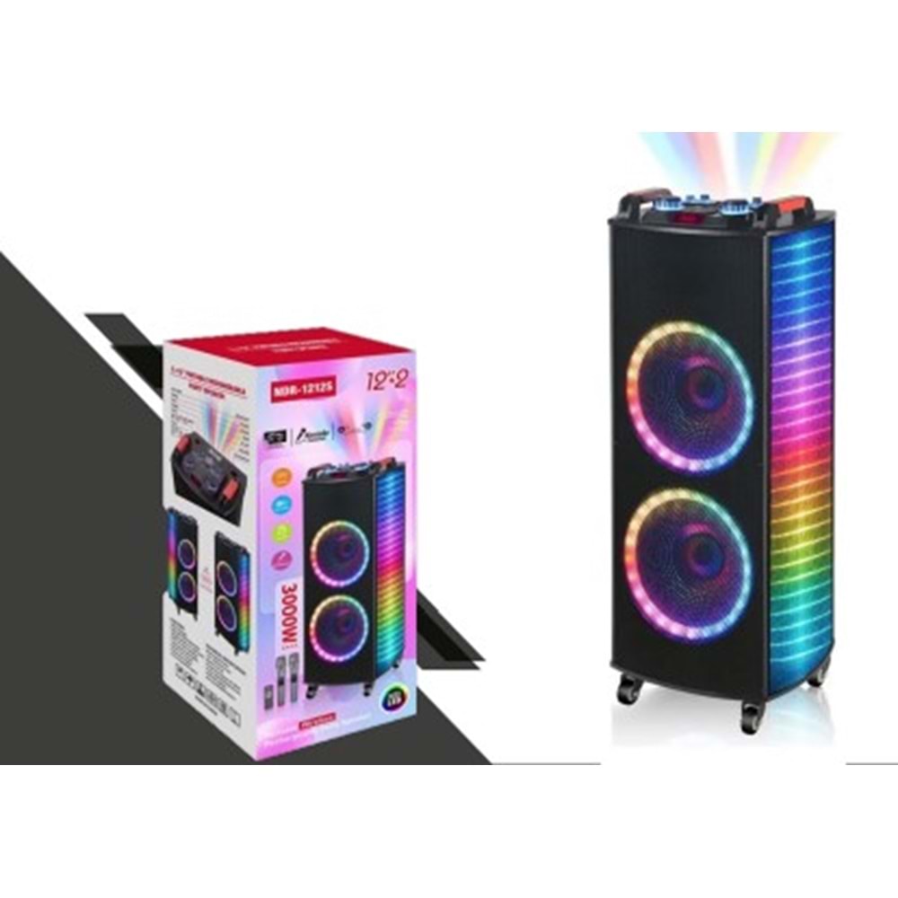 TELSAN NDR-1212S SD/USB/FM 12inc*2 BLUETOOTH ÇİFT KABLOSUZ KARAOKE MİKROFONLU KUMANDALI RGB MÜZİK KUTUSU