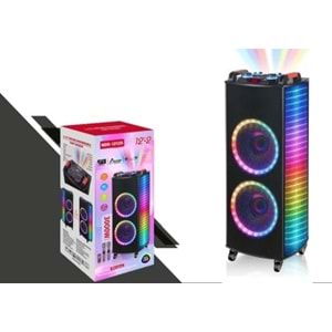 TELSAN NDR-1212S SD/USB/FM 12inc*2 BLUETOOTH ÇİFT KABLOSUZ KARAOKE MİKROFONLU KUMANDALI RGB MÜZİK KUTUSU