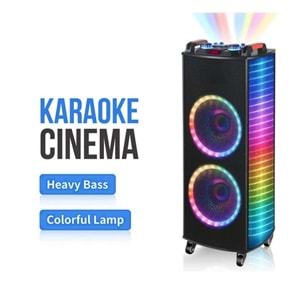 TELSAN NDR-1212S SD/USB/FM 12inc*2 BLUETOOTH ÇİFT KABLOSUZ KARAOKE MİKROFONLU KUMANDALI RGB MÜZİK KUTUSU