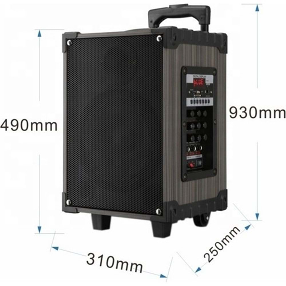 TELSAN LT-910 SD/USB/FM 10inc BLUETOOTH ÇİFT KABLOSUZ KARAOKE MİKROFONLU KUMANDALI RGB MÜZİK KUTUSU