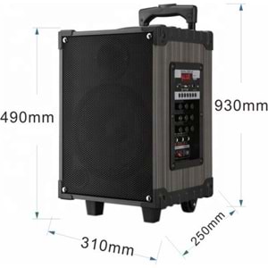 TELSAN LT-910 SD/USB/FM 10inc BLUETOOTH ÇİFT KABLOSUZ KARAOKE MİKROFONLU KUMANDALI RGB MÜZİK KUTUSU