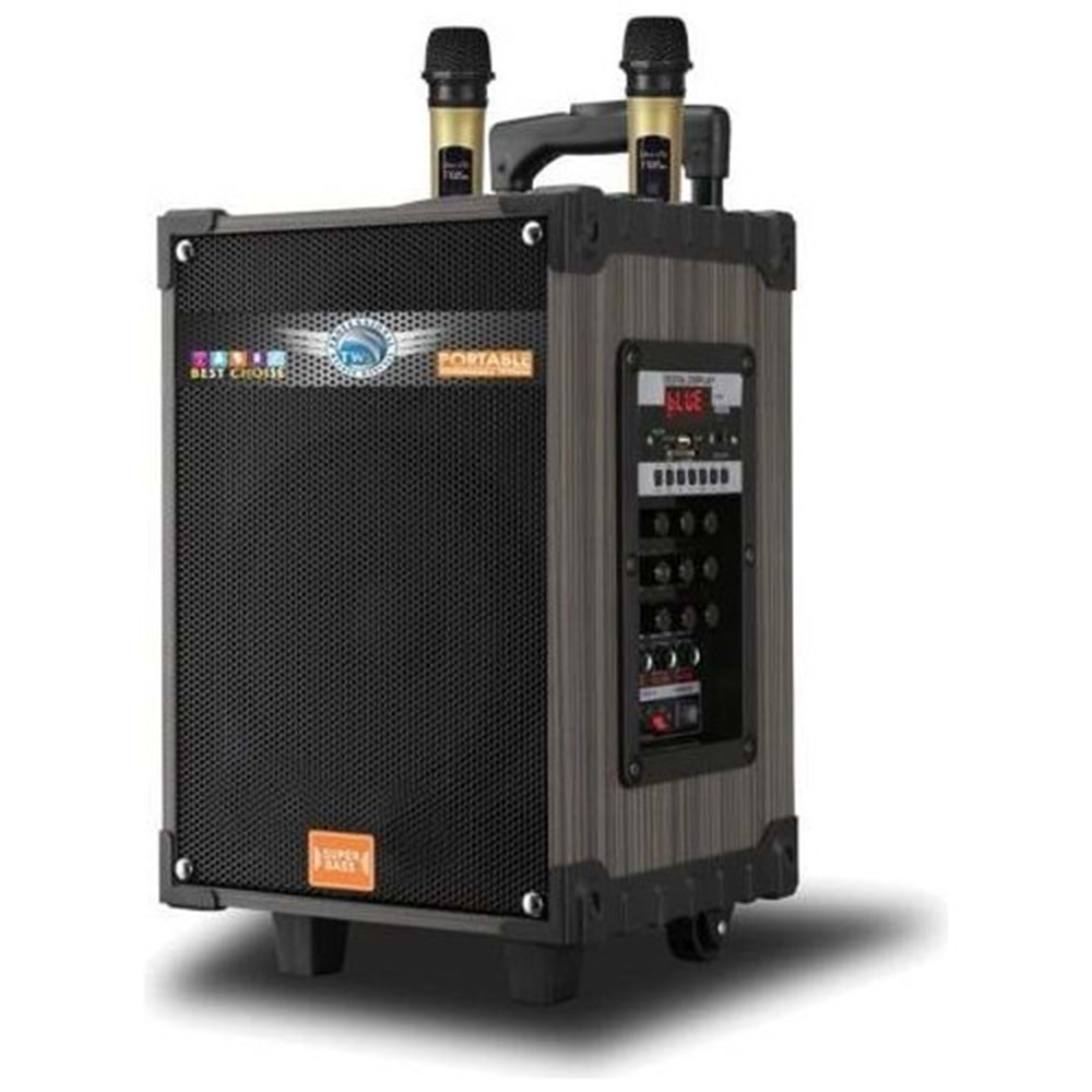 TELSAN LT-910 SD/USB/FM 10inc BLUETOOTH ÇİFT KABLOSUZ KARAOKE MİKROFONLU KUMANDALI RGB MÜZİK KUTUSU